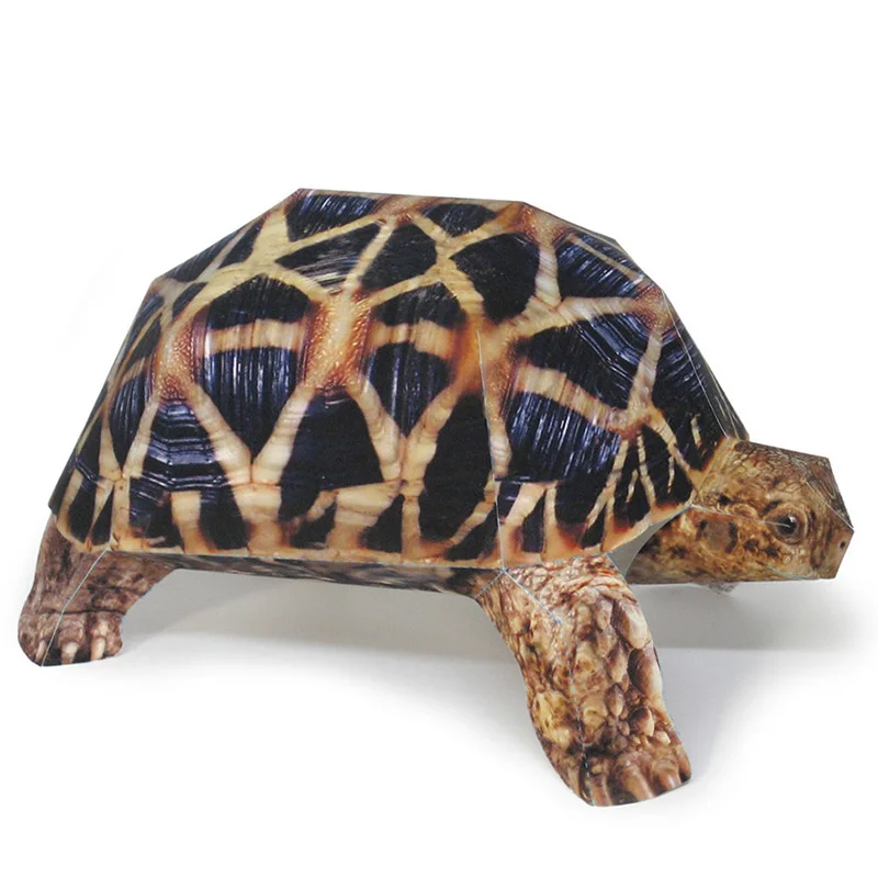 Art Craft Cardboard - ดาวอินเดียเต่ากระดาษรุ่นสมจริงสัตว์ Mini Origami Art น่ารัก 3D