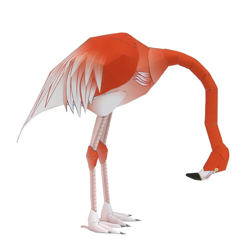 Caribbean Flamingo พับสามนก Or - Art Craft Cardboard บทวิจารณ์และราคา