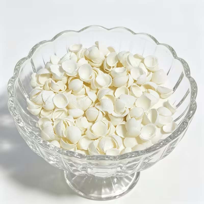 เปลือกหอยทะเล 25 ชิ้นสำหรับตกแ - Art Craft Vase บทวิจารณ์และราคา