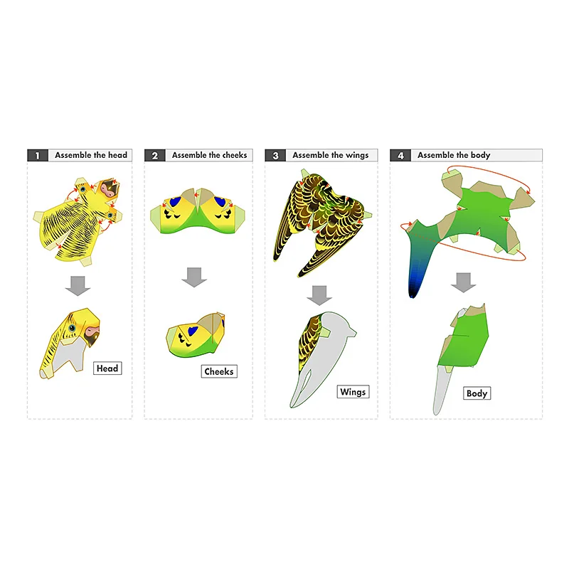 Budgerigar Parrot Bird Handmad - Art Craft Cardboard บทวิจารณ์และราคา